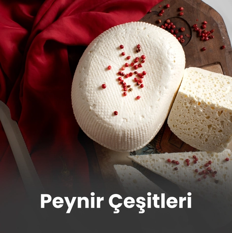 Peynir Çeşitleri