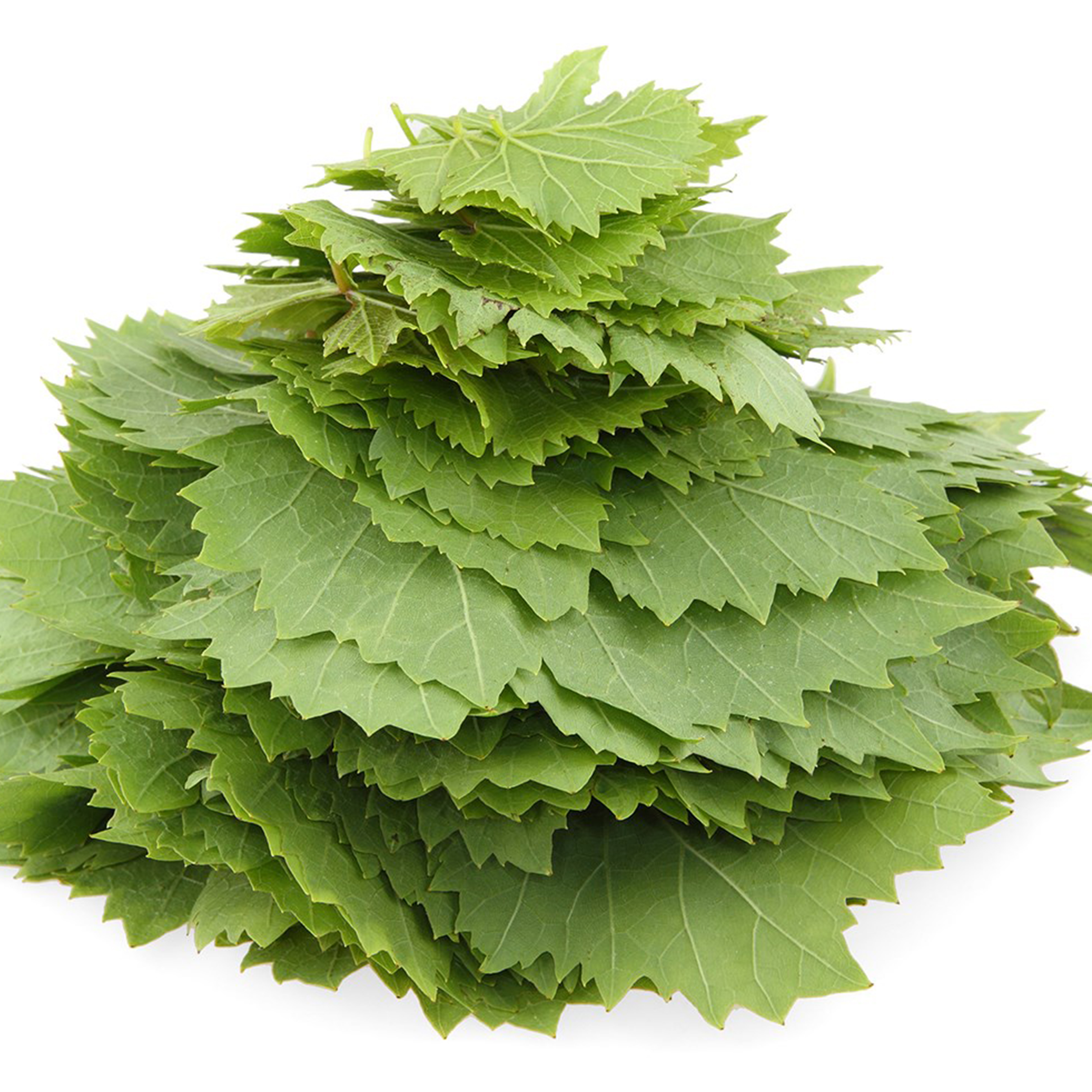 Asma%20Yaprağı%20(3%20Kg)
