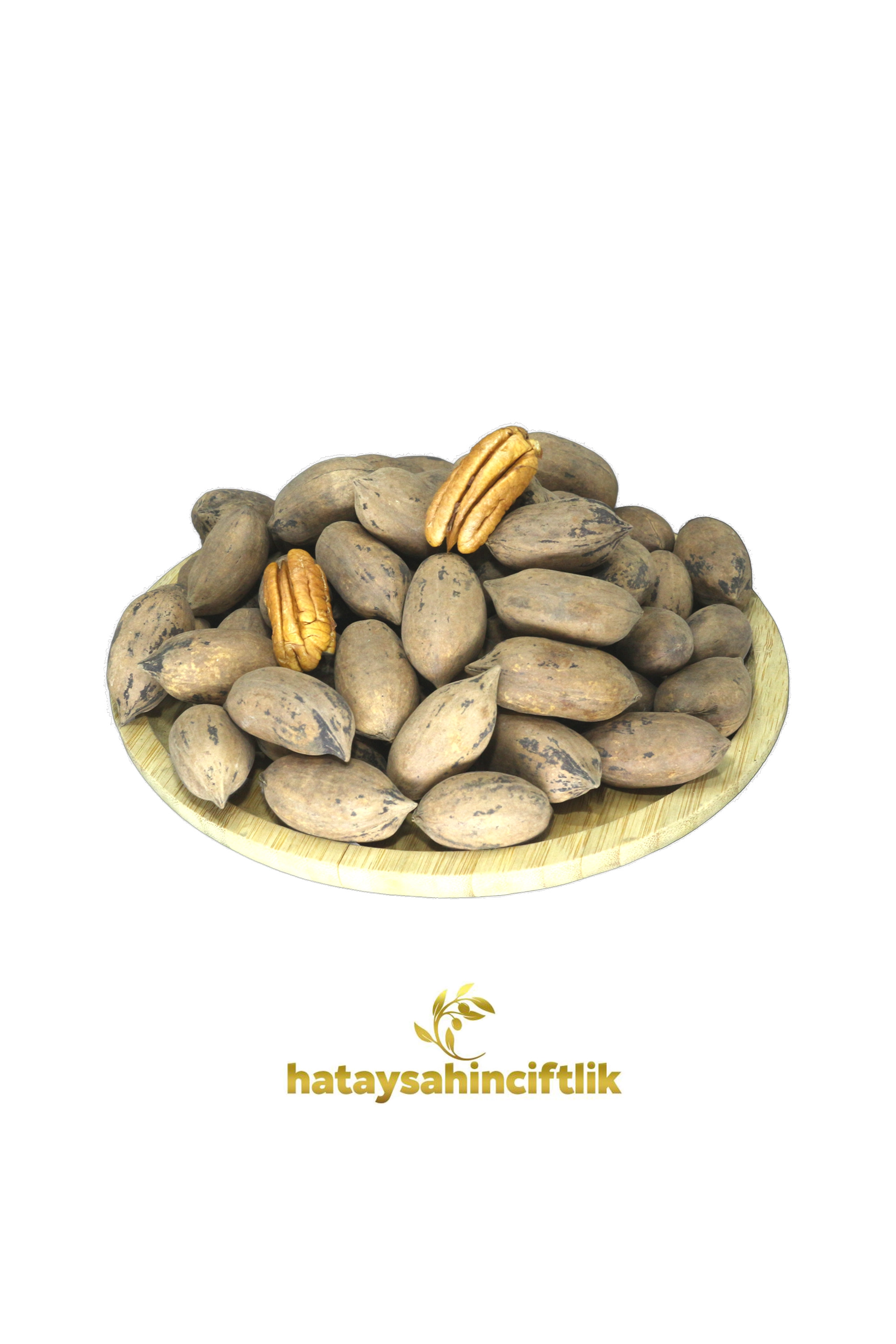 Pikan Cevizi - Pecan Nut