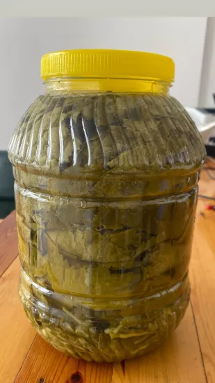 (Yeni Mahsül )Salamura Asma Yaprağı 5 Lik 