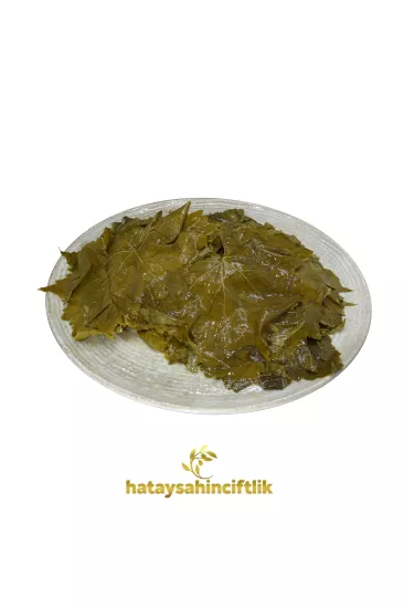 Yeni Mahsül Salamura Hatay Asma Üzüm Yaprağı  (1500 cc pet ambalaj)