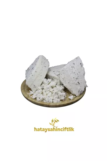 Hatay Carra Çökeleği