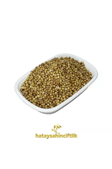 Kişniş Tohumu (Küzbere) - Tane