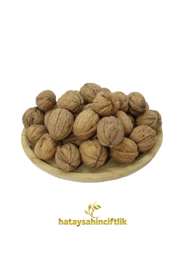 İnce Kabuklu Ceviz  (Yerli)